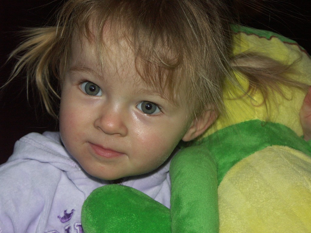 20090118_001.JPG
