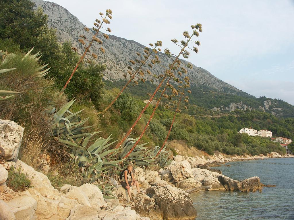 20080928_037.JPG - Makarska Riviera