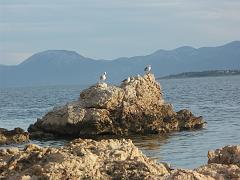 20080924_079