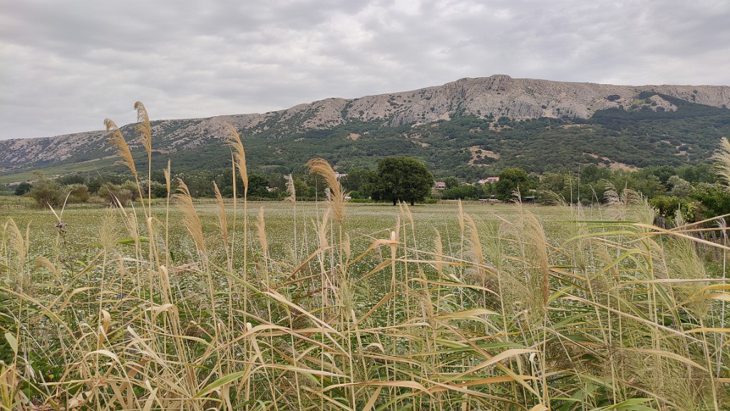 20210916_093839.jpg - Baska, Krk