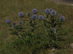 20110916_027
