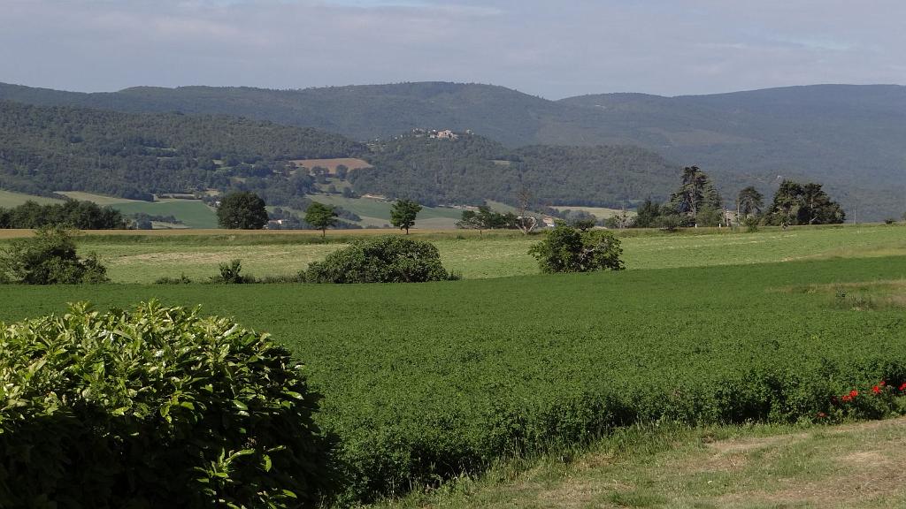 20120610_090245.jpg - Luberon - Reillanne i okolice