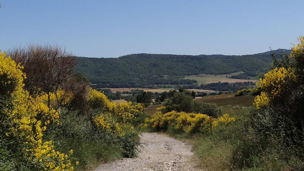 20120622_154115.jpg - Luberon - Reillanne (okolica gite)