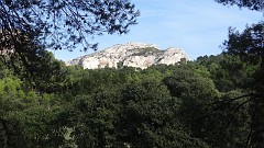 20141010_161116