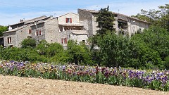 20170505_142132