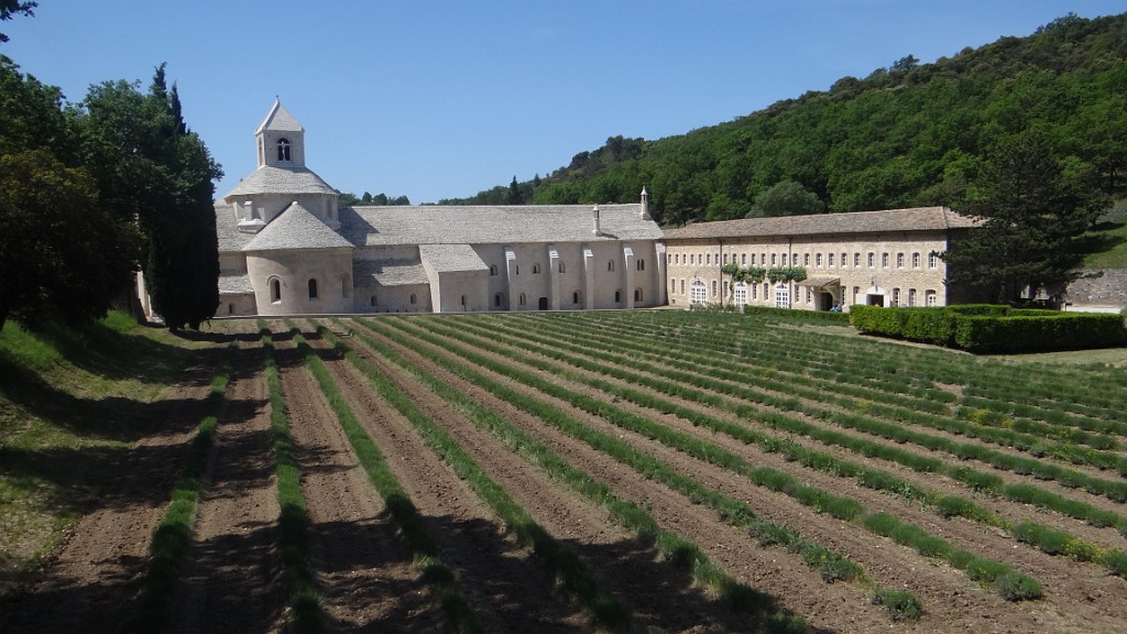 20220517_114724.JPG - Abbaye de Senanque