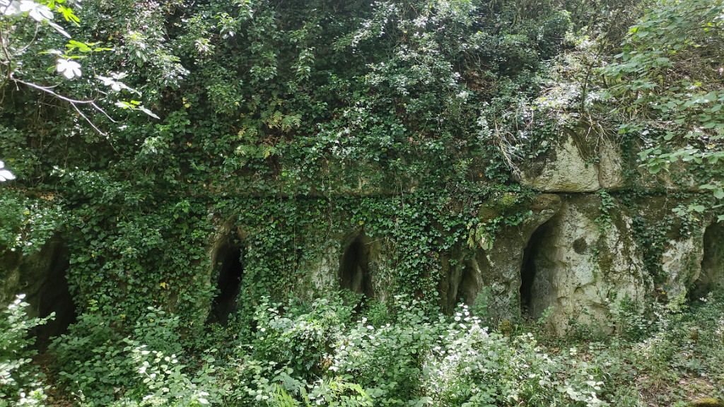 20230601_130021.jpg - do Labeaume