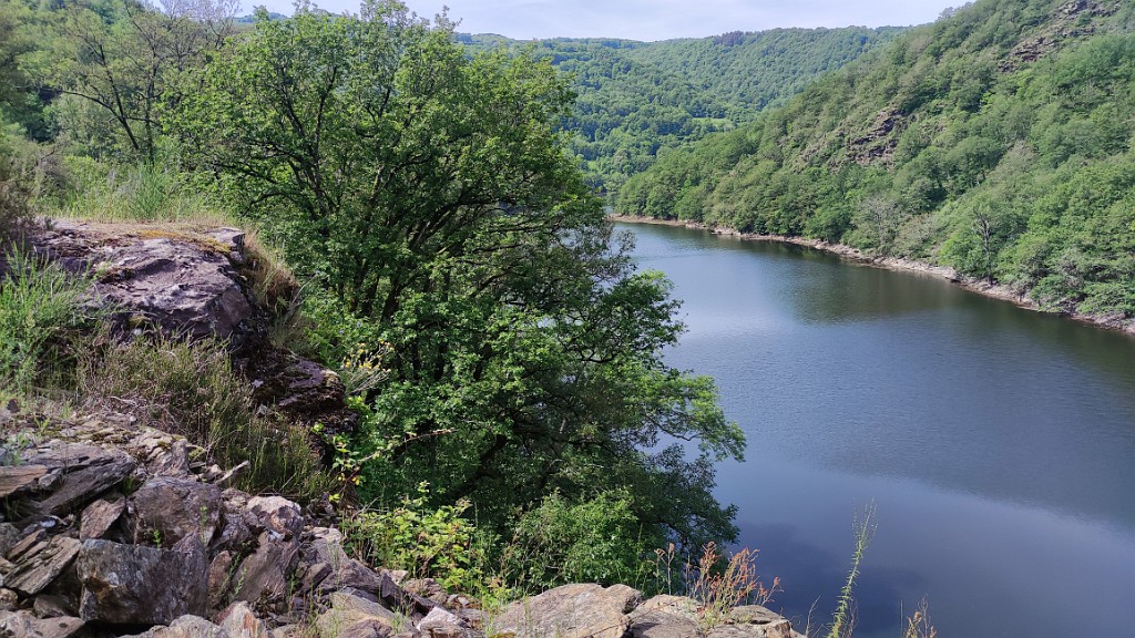 20240528_112118.jpg - Rowerem doliną rzeki Lot