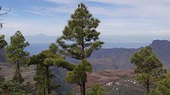 20161209_122148