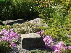 20050927_042