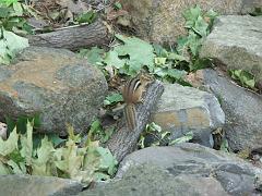20050930_100