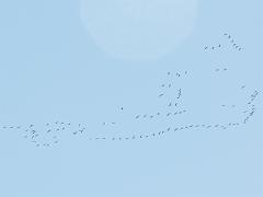 20051002_018a