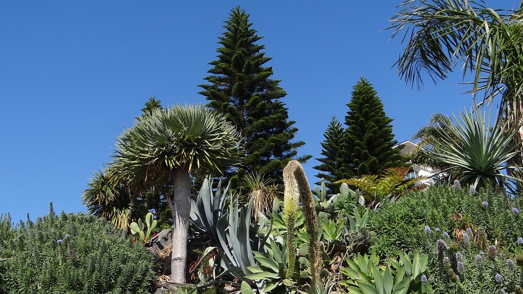 20190213_125658.JPG - Funchal
