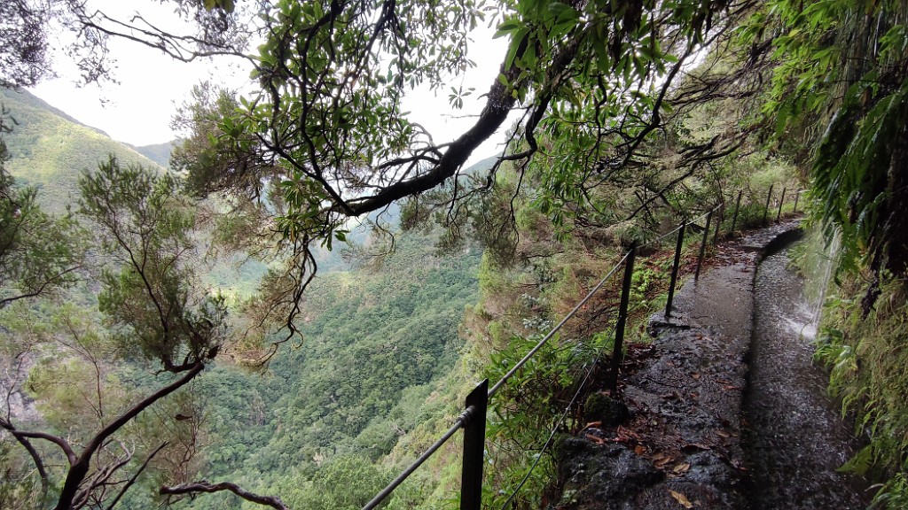 20211126_130333.jpg - Levada do Caldeirao Verde