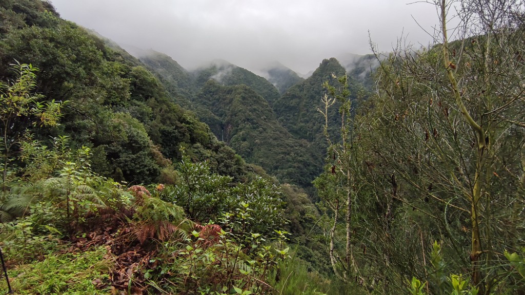 20211129_120505.jpg - Levada de Santana (ou da Silveira)