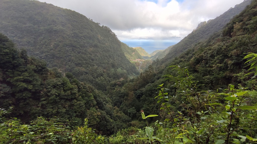 20211129_122344.jpg - Levada de Santana (ou da Silveira)