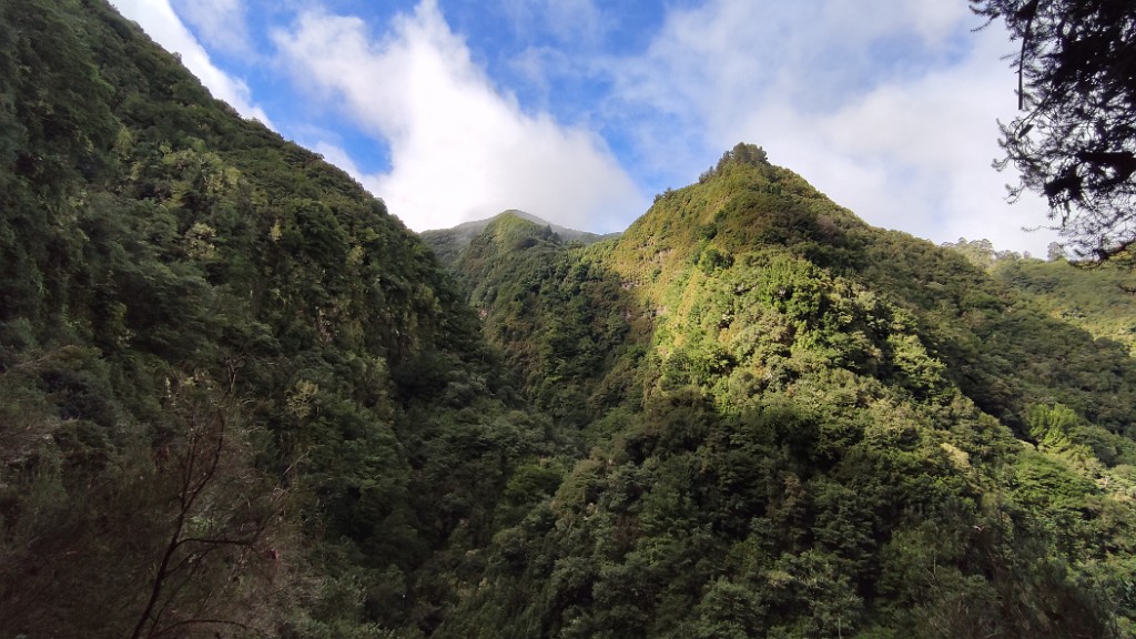 20211129_124214.jpg - Levada de Santana (ou da Silveira)
