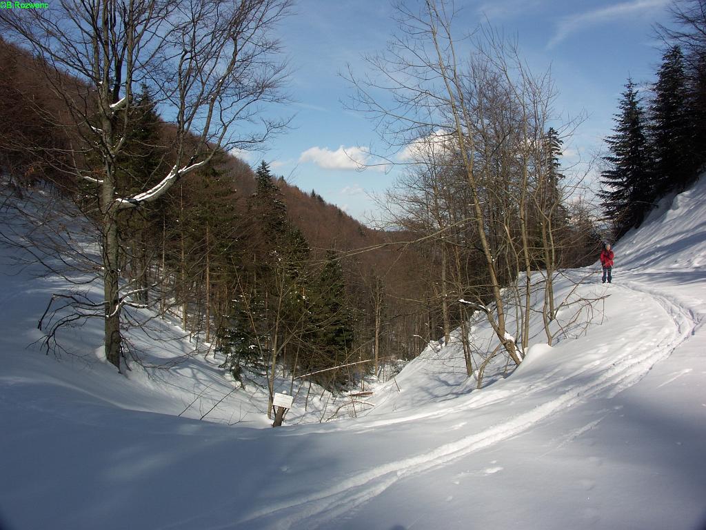 20060302_030.JPG - Słowacja - Kremnicke vrchy