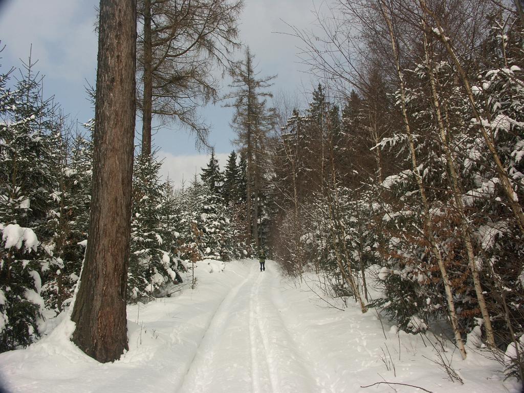 20090217_002.JPG - Czechy - Karkonosze