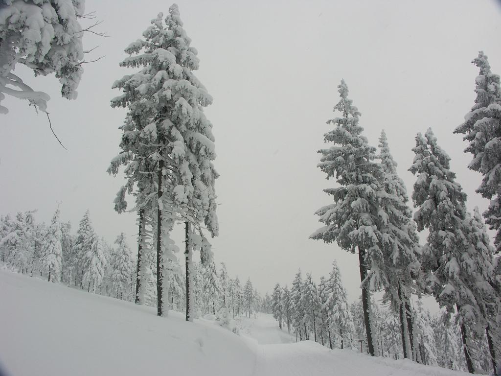 20090220_003.JPG - Czechy - Karkonosze