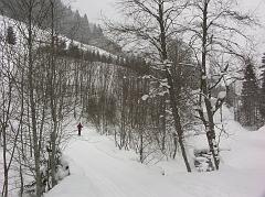 20050228_018