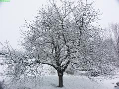 20070228_001