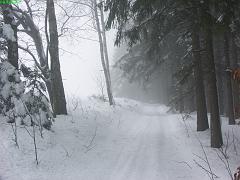 20070228_011