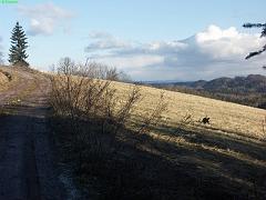 20080305_003