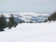 20080308_002