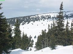 20080310_024
