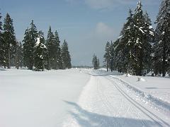 20100318_003