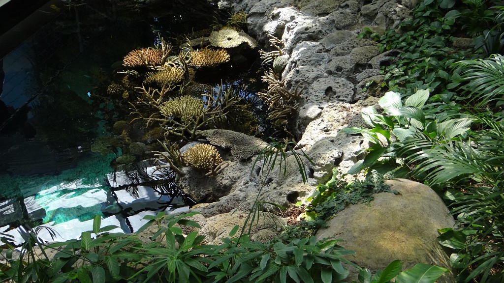 20130520_110249.jpg - Lizbona