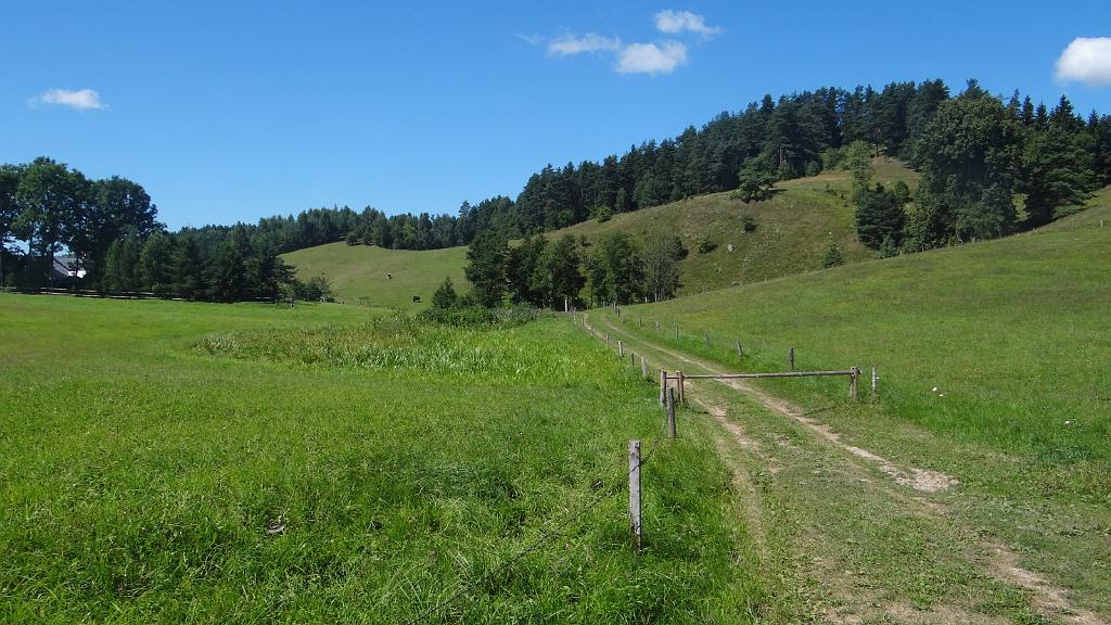 20130803_124829.jpg - Suwalszczyzna 2013