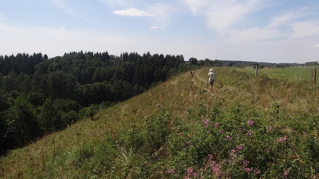 20130804_132913.jpg - Suwalszczyzna 2013