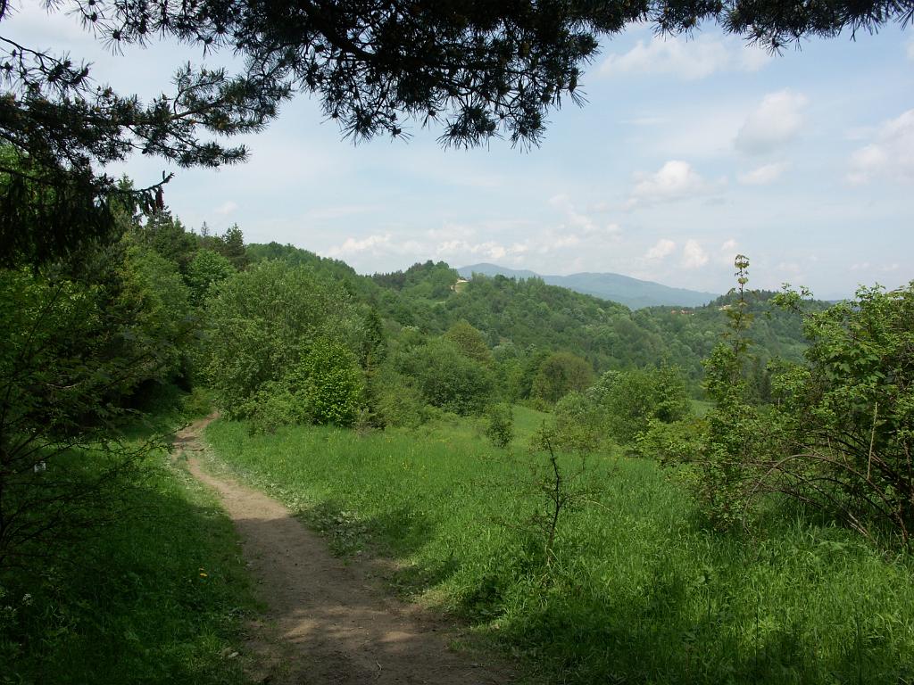 20100530_012.JPG - Pieniny
