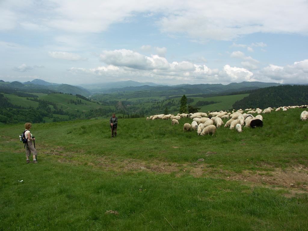 20100603_014.JPG - Pieniny