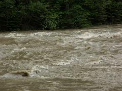 20100602_023