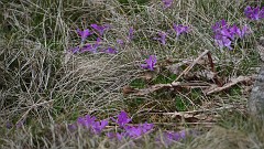 20150611_124711