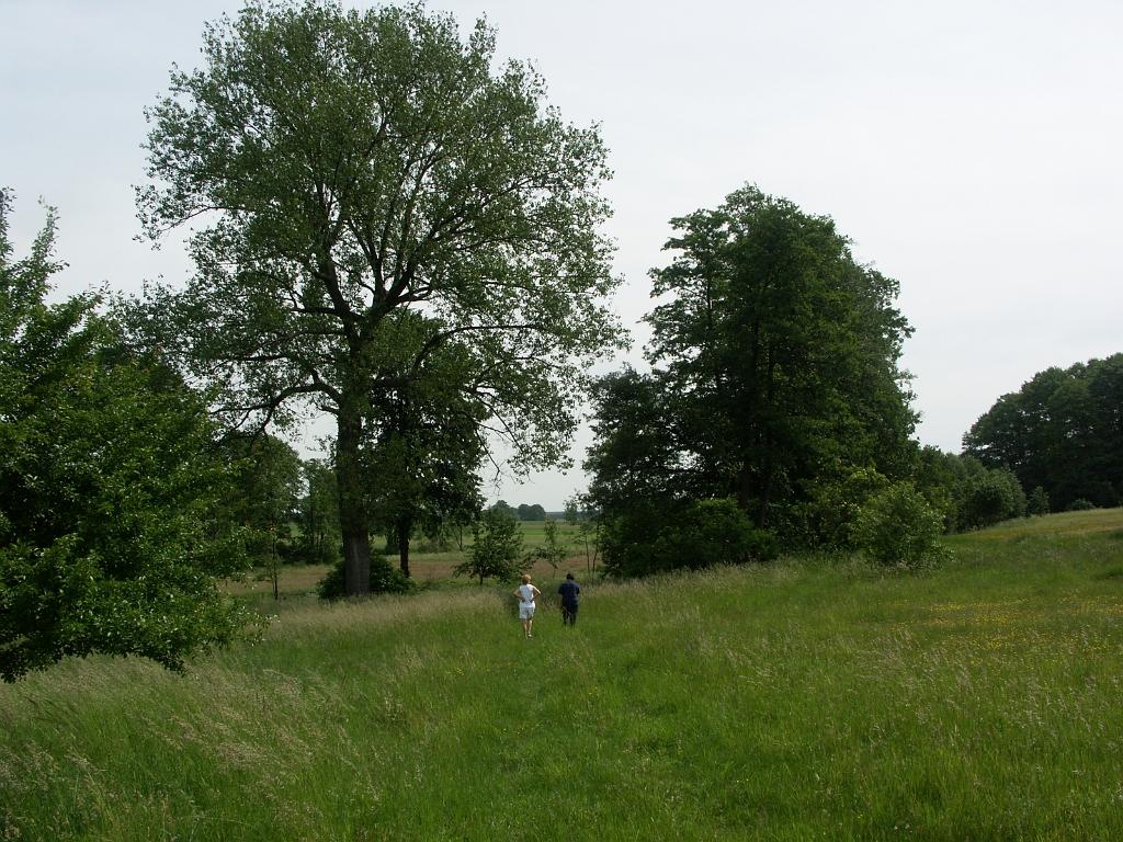 20090611_010.JPG - Długosiodło
