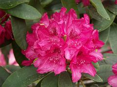 20050604_002