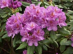 20050604_010