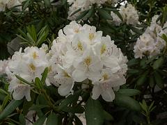 20050604_012