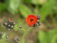 20050604_014