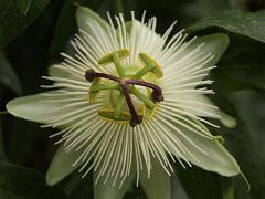 20050604_035