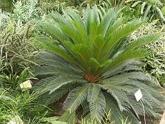 20050604_036
