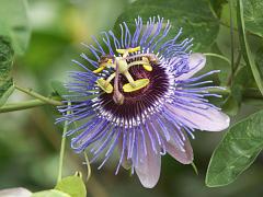 20050604_037