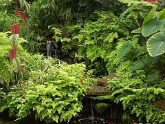 20050604_038