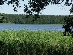 20050709_006