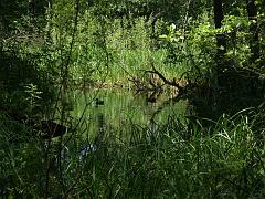 20050709_040