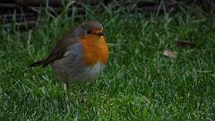 20121007_095541_002